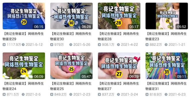 游泳视频小孩教程视频_小孩子能学的游泳技巧视频_视频游泳能技巧学孩子小学生吗